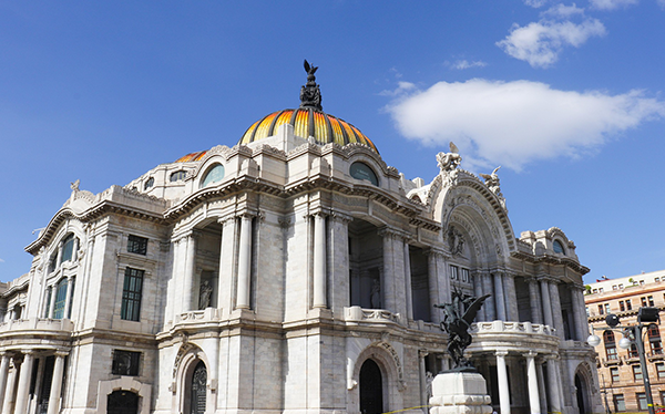 APO Transporte Ejecutivo