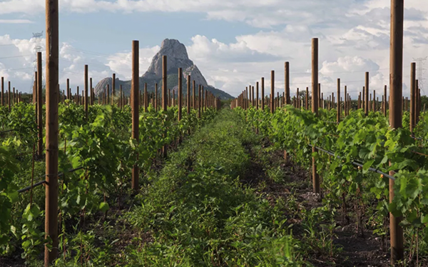 APO Transporte Ejecutivo